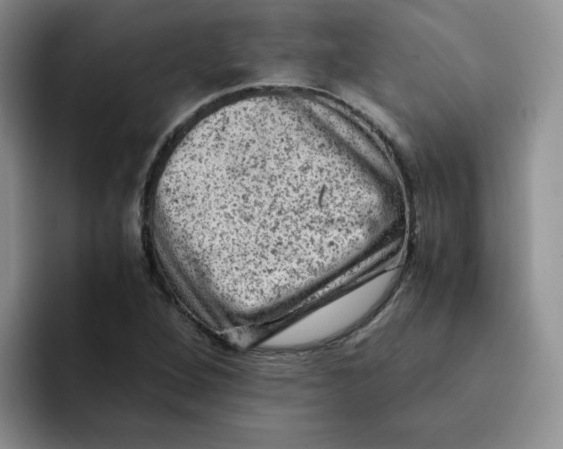 X0000091651264200709201120