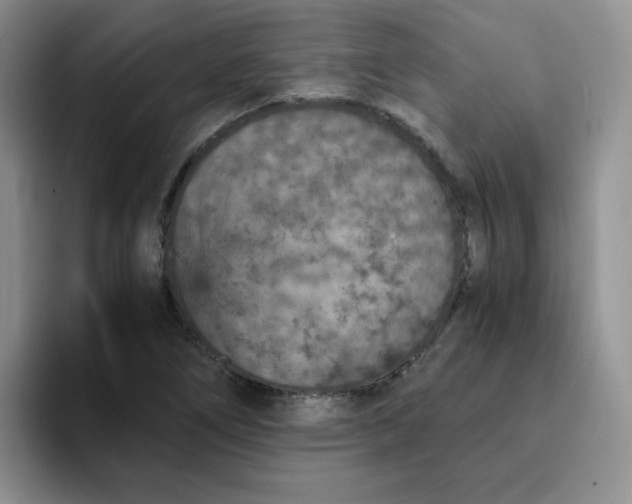 X0000091651266200709201120