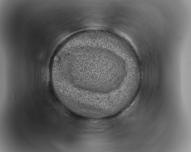 X0000091651267200709201120