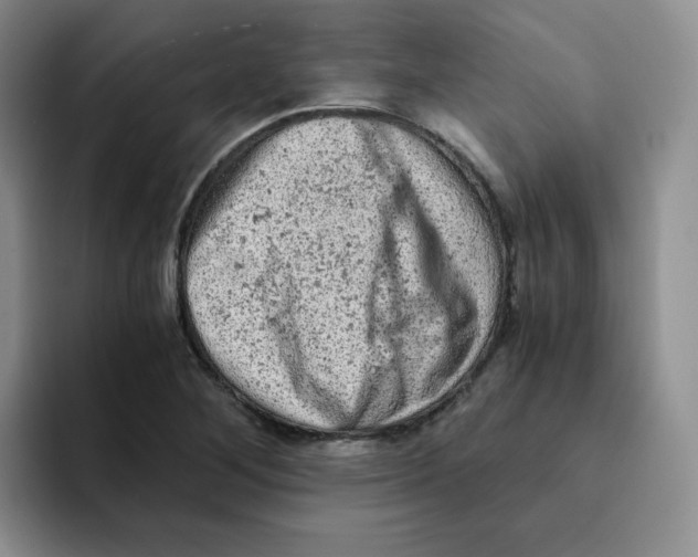 X0000091651268200709201120