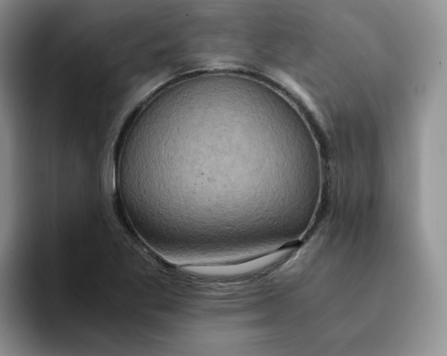 X0000091651269200709201120