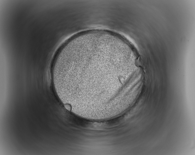 X0000091651271200709201119