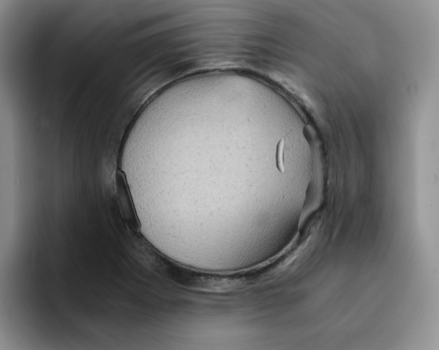 X0000091651273200709201119