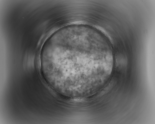 X0000091651274200709201119