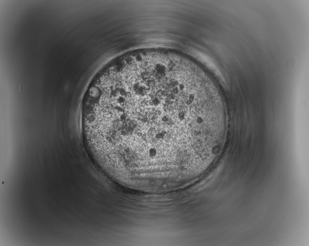 X0000091651275200709201119