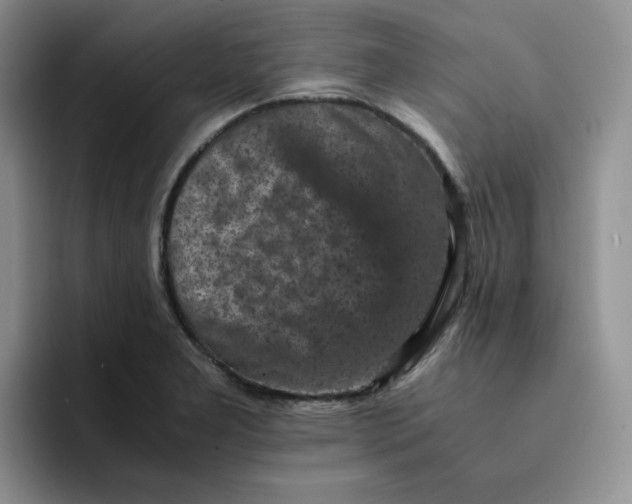 X0000091651277200709201119