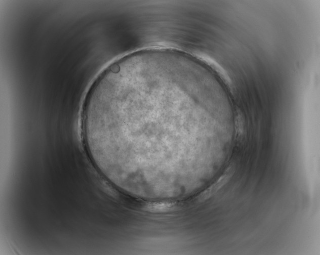 X0000091651278200709201119