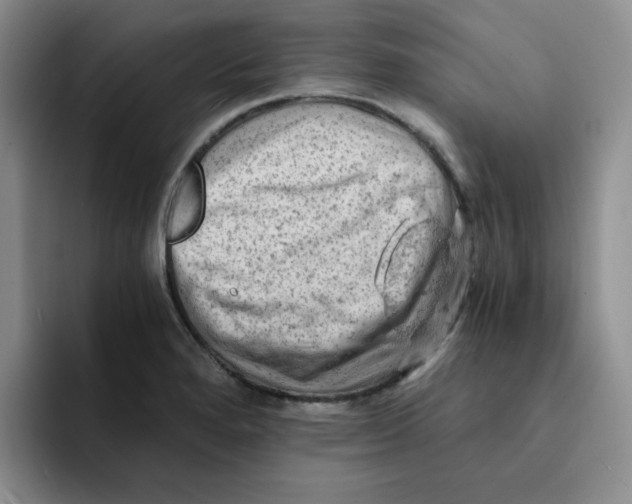 X0000091651280200709201119