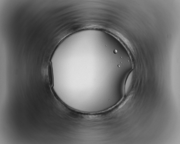 X0000091651281200709201119