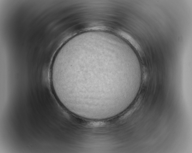 X0000091651282200709201119