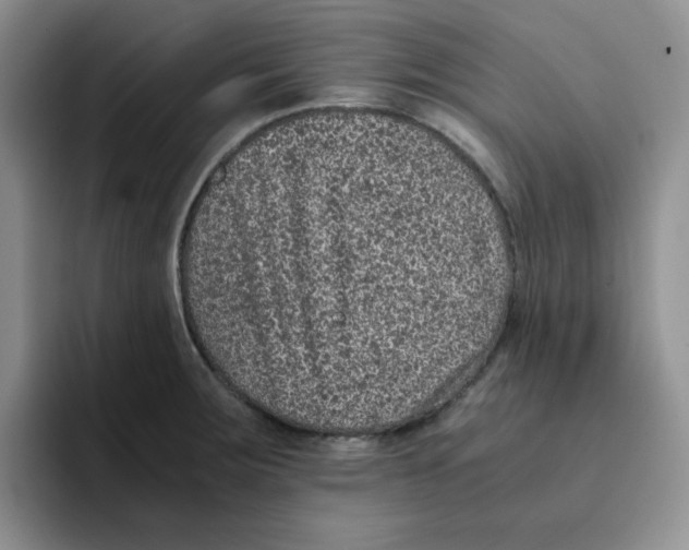 X0000091651283200709201119