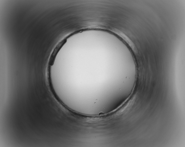 X0000091651285200709201119