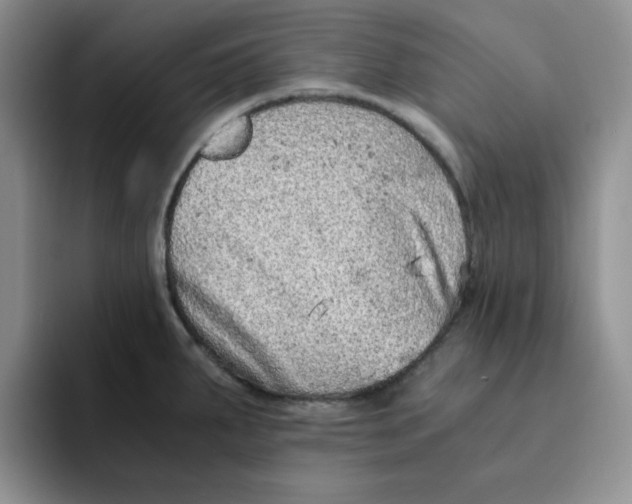 X0000091651287200709201119