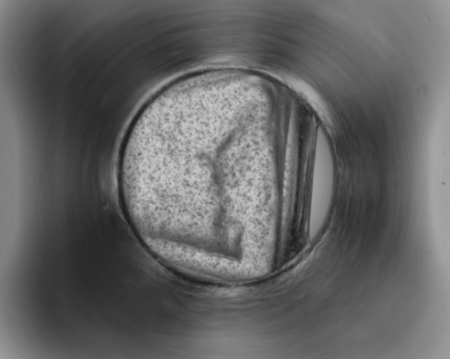 X0000091651288200709201119