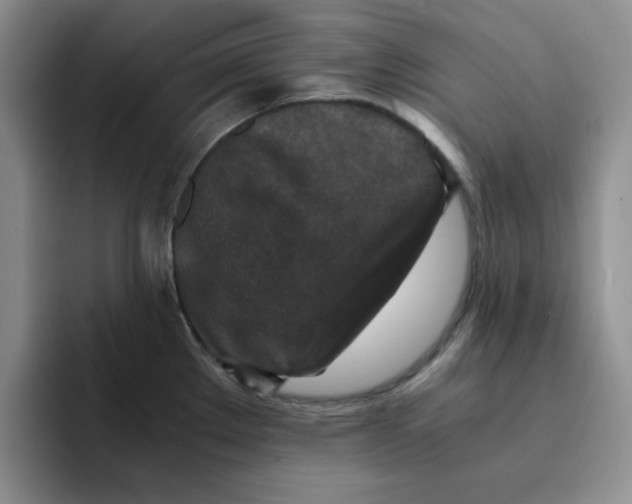 X0000091651289200709201119