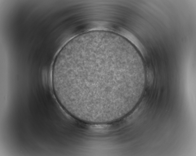 X0000091651290200709201119