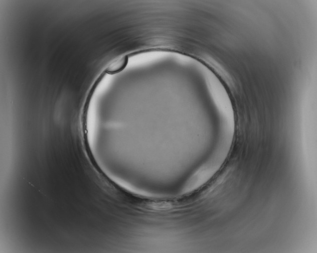 X0000091651291200709201119