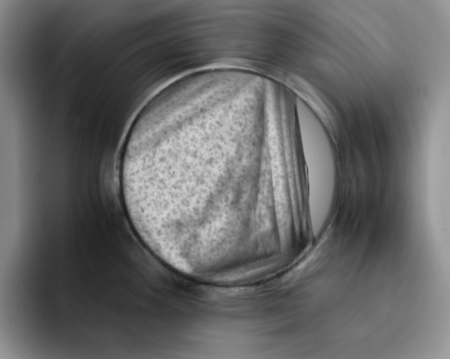 X0000091651292200709201119