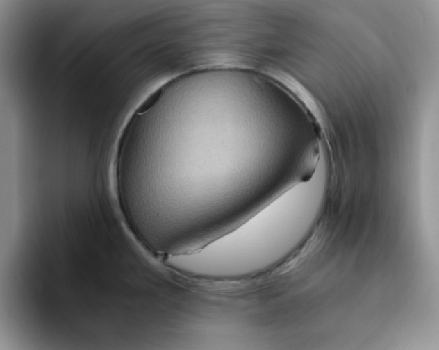 X0000091651293200709201119