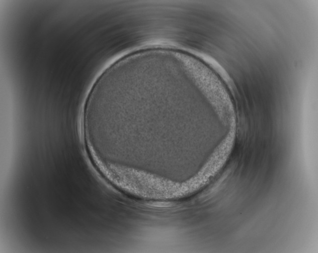 X0000091651295200709201119