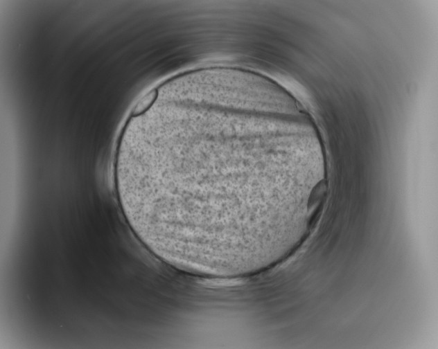 X0000091651296200709201119