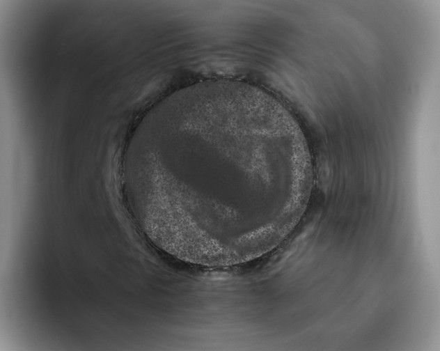 X0000091651297200709201119