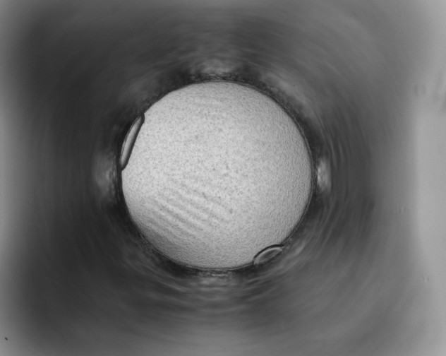 X0000091651299200709201119