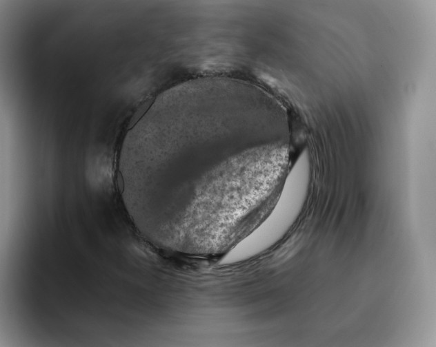 X0000091651300200709201119