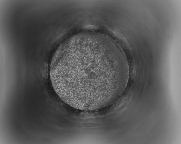 X0000091651301200709201119