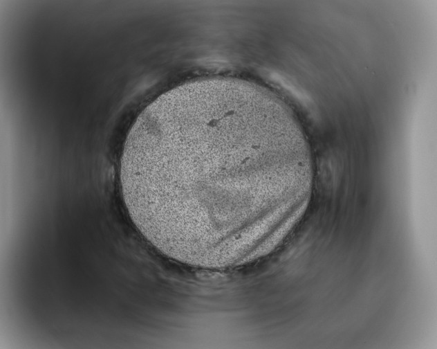 X0000091651302200709201119