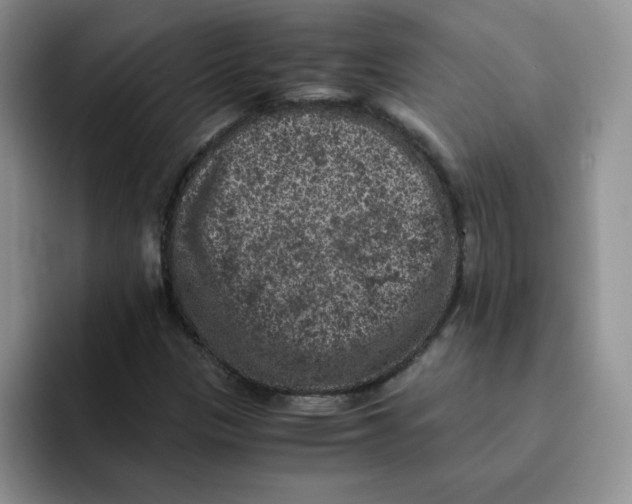 X0000091651305200709201119