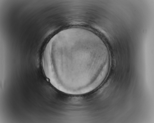 X0000091651306200709201119