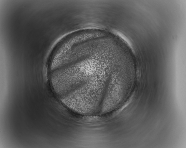 X0000091651310200709201119