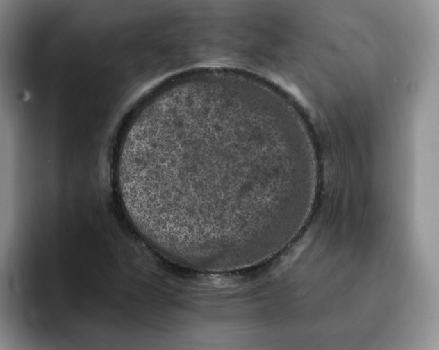 X0000091651311200709201119