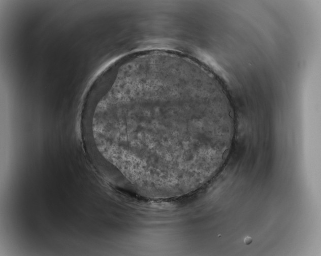 X0000091651312200709201119