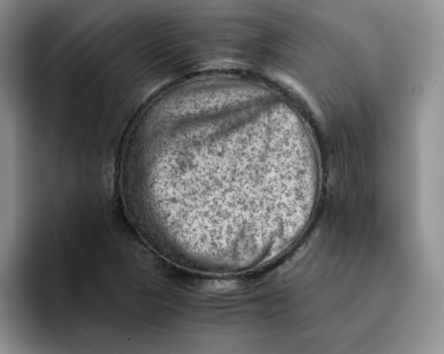 X0000091651313200709201119