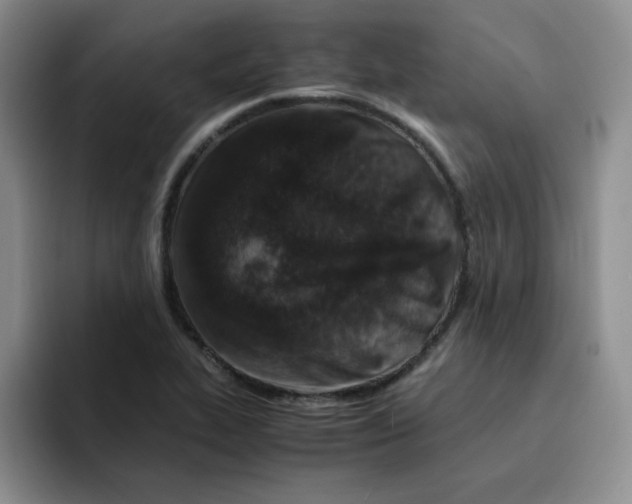 X0000091651319200709201119