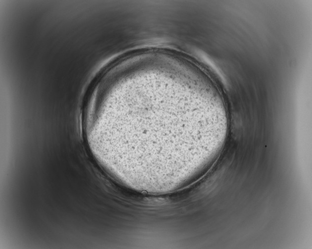 X0000091651320200709201119