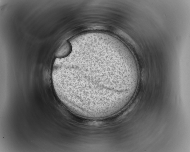 X0000091651321200709201119