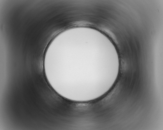 X0000091651322200709201119