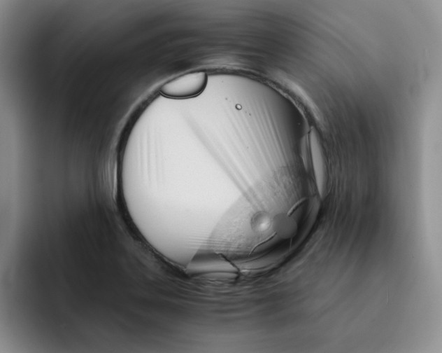 X0000091651323200709201119