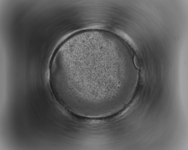 X0000091651324200709201119