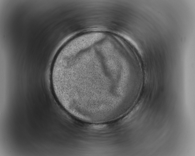 X0000091651325200709201119