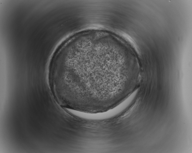 X0000091651326200709201119