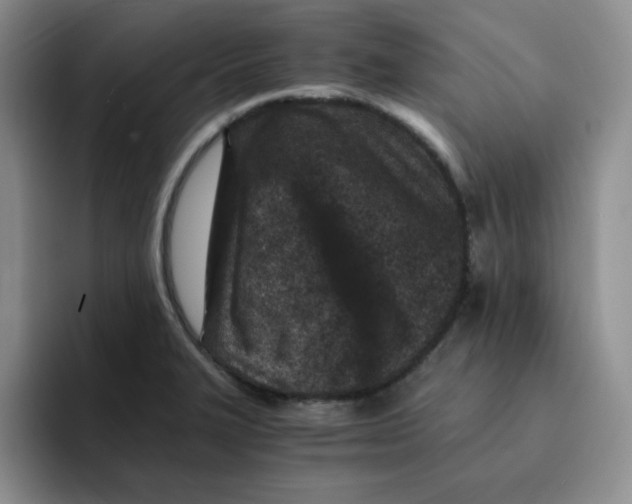 X0000091651327200709201119