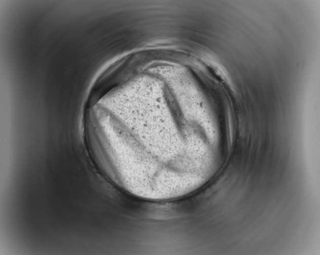 X0000091651328200709201119