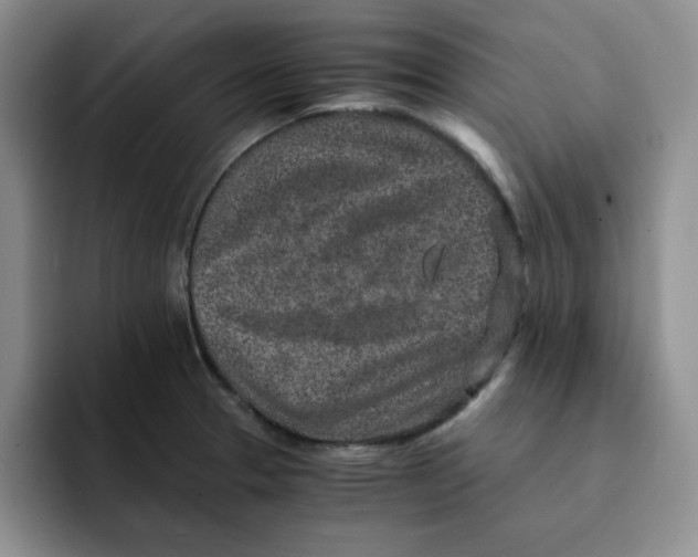 X0000091651329200709201119