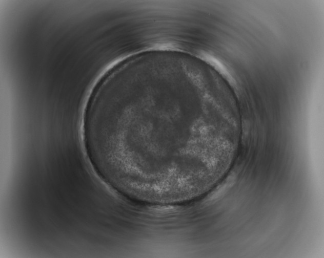 X0000091651331200709201119