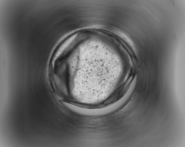 X0000091651332200709201119