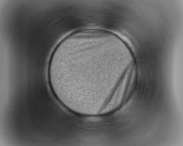 X0000091651333200709201119